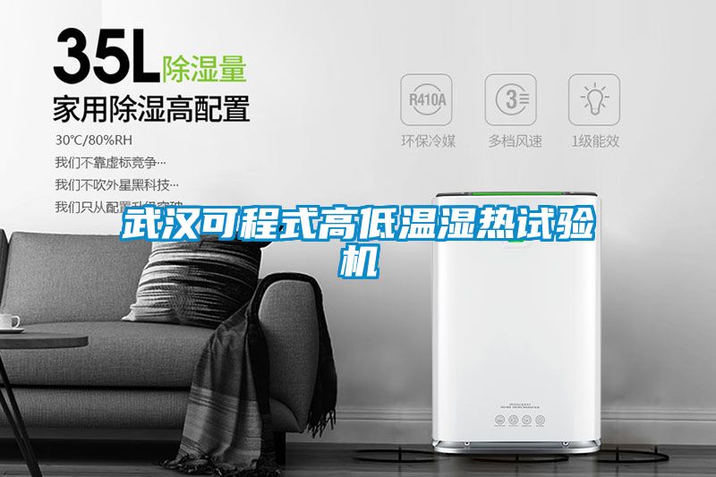 武漢可程式高低溫濕熱試驗機