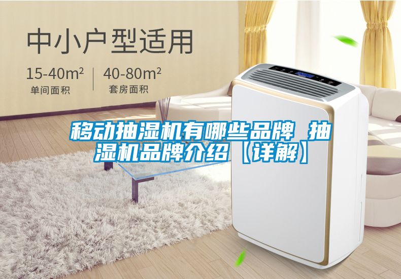 移動(dòng)抽濕機(jī)有哪些品牌 抽濕機(jī)品牌介紹【詳解】