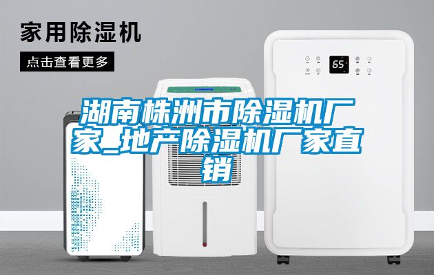 湖南株洲市除濕機廠家_地產除濕機廠家直銷