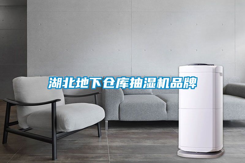 湖北地下倉庫抽濕機(jī)品牌