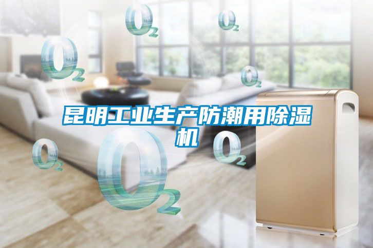 昆明工業生產防潮用除濕機