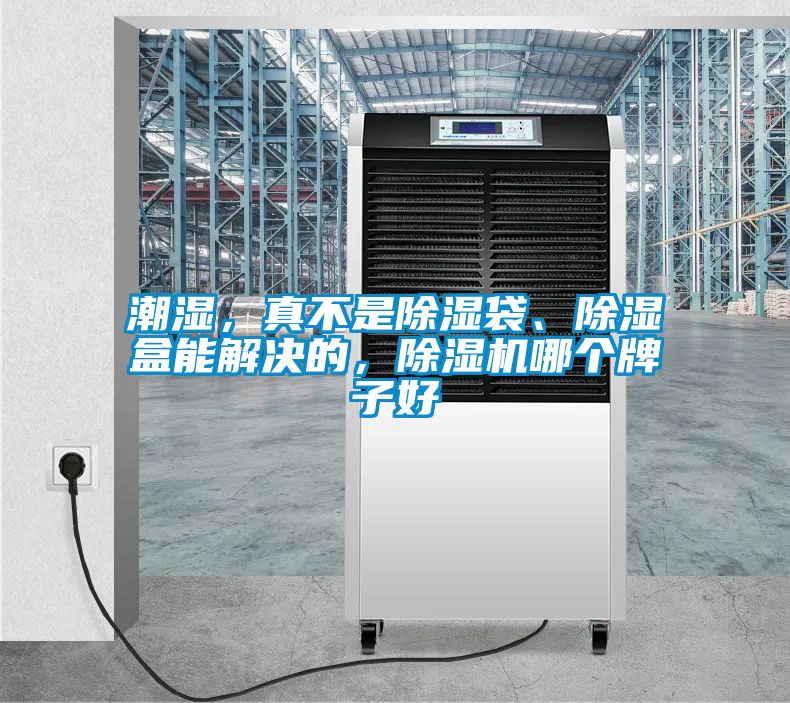 潮濕，真不是除濕袋、除濕盒能解決的，除濕機哪個牌子好