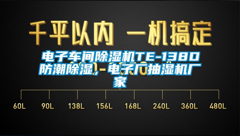 電子車間除濕機TE-138D防潮除濕，電子廠抽濕機廠家