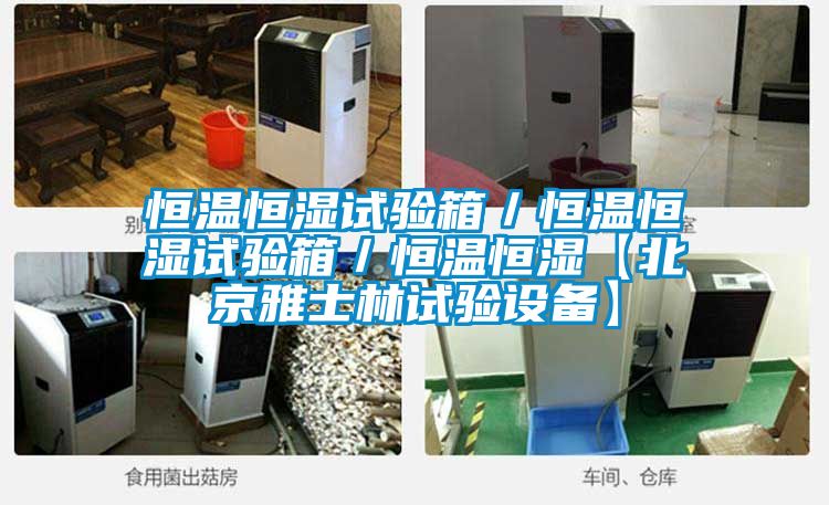 恒溫恒濕試驗箱／恒溫恒濕試驗箱／恒溫恒濕【北京雅士林試驗設(shè)備】