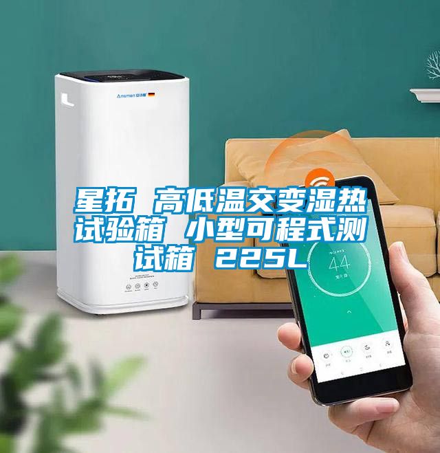 星拓 高低溫交變濕熱試驗(yàn)箱 小型可程式測(cè)試箱 225L