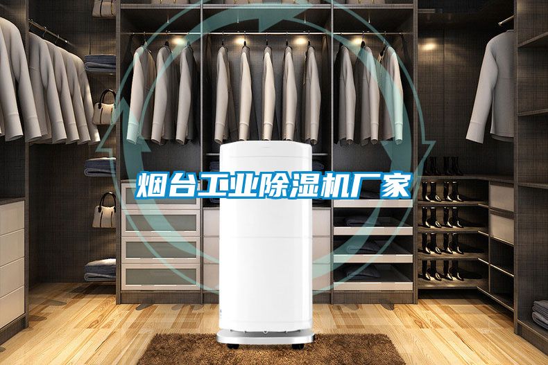 煙臺工業(yè)除濕機廠家
