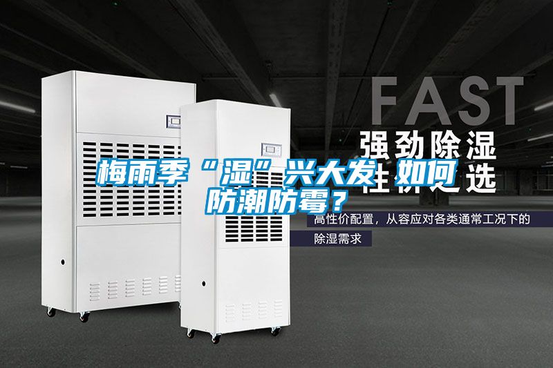梅雨季“濕”興大發 如何防潮防霉？