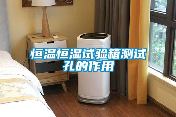 恒溫恒濕試驗(yàn)箱測試孔的作用