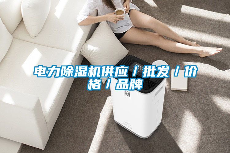 電力除濕機(jī)供應(yīng)／批發(fā)／價(jià)格／品牌