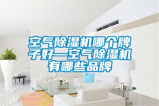 空氣除濕機哪個牌子好—空氣除濕機有哪些品牌