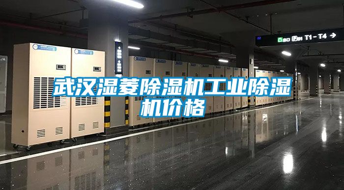 武漢濕菱除濕機工業除濕機價格