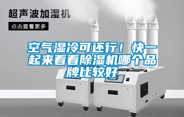空氣濕冷可還行！快一起來(lái)看看除濕機(jī)哪個(gè)品牌比較好
