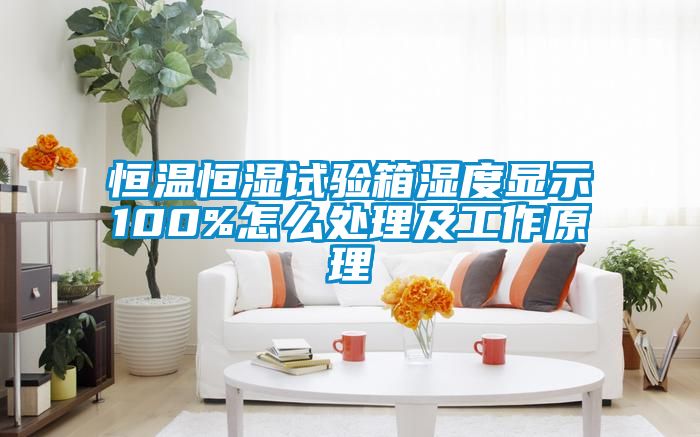 恒溫恒濕試驗箱濕度顯示100%怎么處理及工作原理