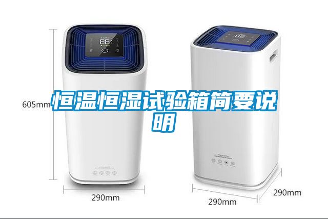 恒溫恒濕試驗箱簡要說明