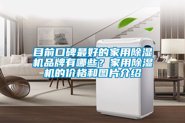 目前口碑最好的家用除濕機品牌有哪些？家用除濕機的價格和圖片介紹