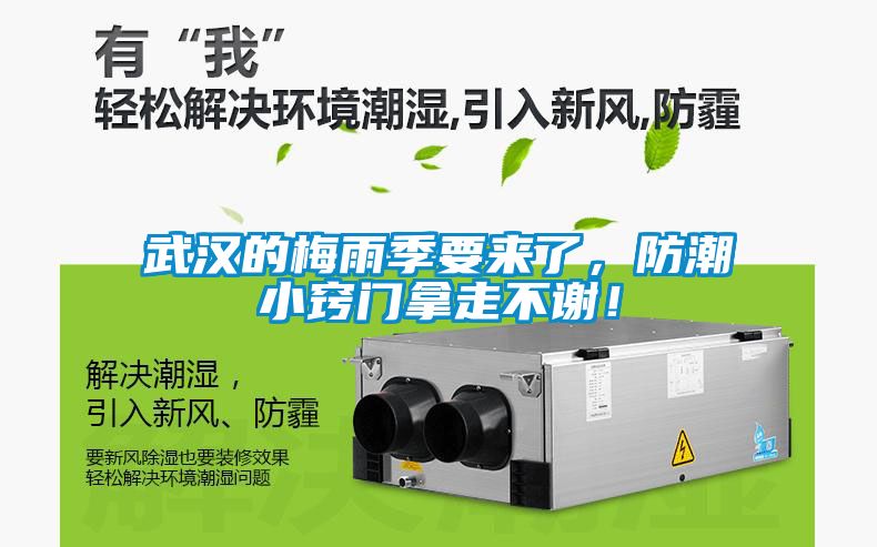 武漢的梅雨季要來了，防潮小竅門拿走不謝！