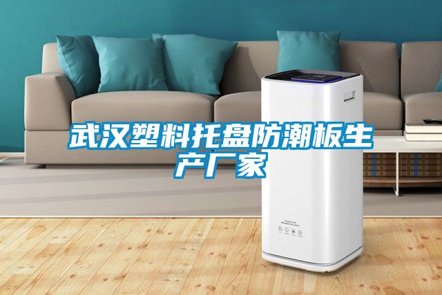 武漢塑料托盤防潮板生產廠家