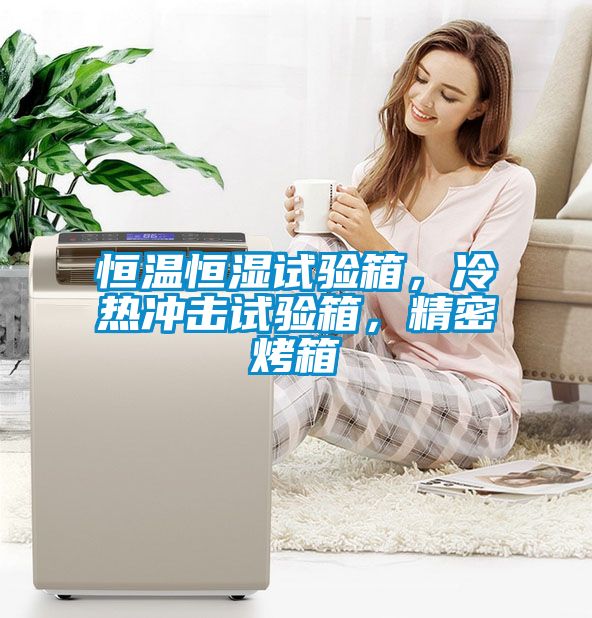 恒溫恒濕試驗(yàn)箱，冷熱沖擊試驗(yàn)箱，精密烤箱