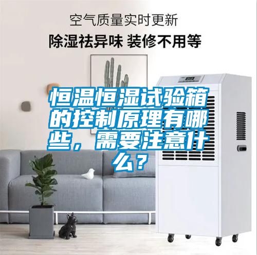 恒溫恒濕試驗箱的控制原理有哪些，需要注意什么？