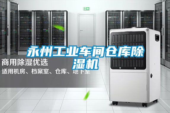 永州工業(yè)車間倉庫除濕機(jī)