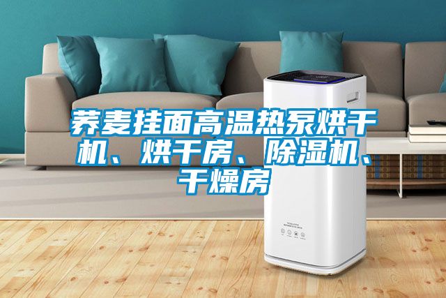蕎麥掛面高溫熱泵烘干機、烘干房、除濕機、干燥房