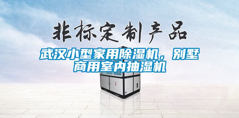 武漢小型家用除濕機(jī)，別墅商用室內(nèi)抽濕機(jī)