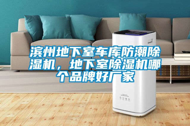 濱州地下室車庫防潮除濕機，地下室除濕機哪個品牌好廠家