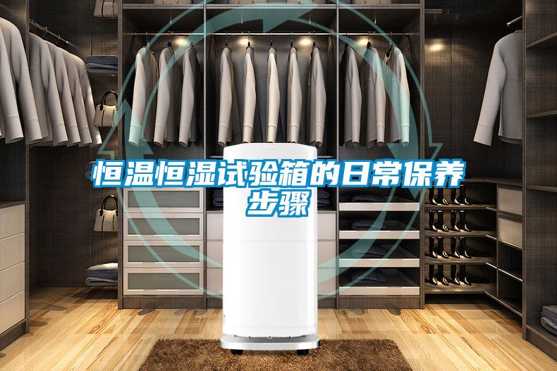 恒溫恒濕試驗箱的日常保養步驟