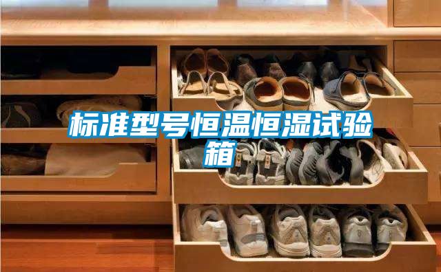 標準型號恒溫恒濕試驗箱