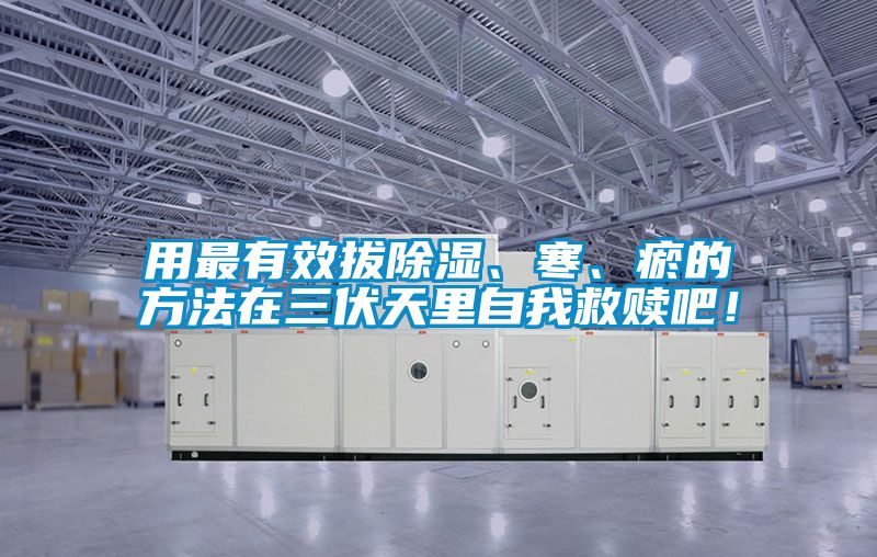 用最有效拔除濕、寒、瘀的方法在三伏天里自我救贖吧！