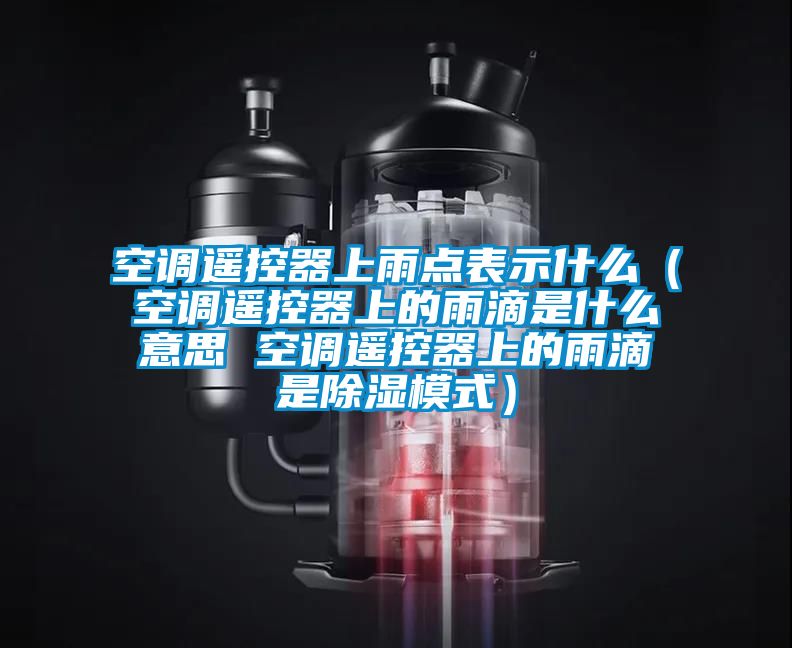 空調遙控器上雨點表示什么（空調遙控器上的雨滴是什么意思 空調遙控器上的雨滴是除濕模式）