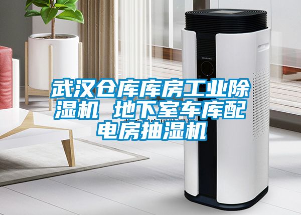 武漢倉庫庫房工業(yè)除濕機(jī) 地下室車庫配電房抽濕機(jī)