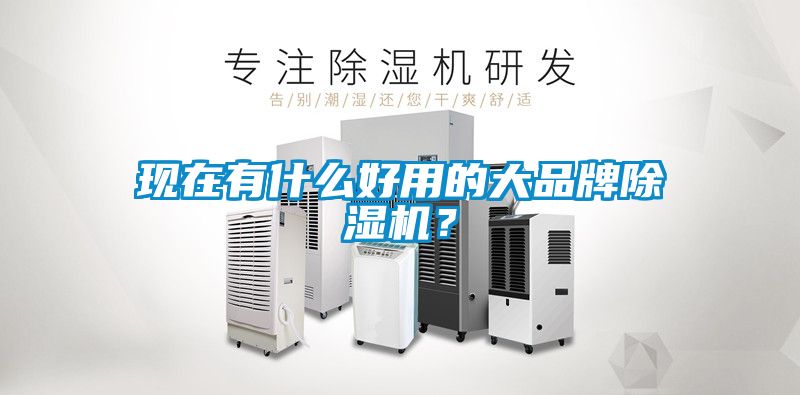 現在有什么好用的大品牌除濕機？