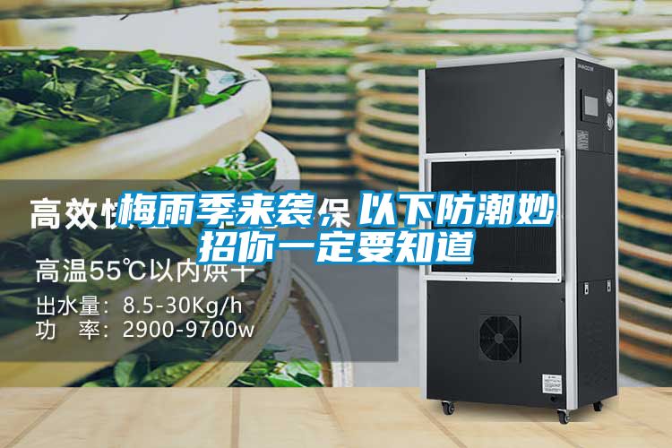 梅雨季來襲，以下防潮妙招你一定要知道