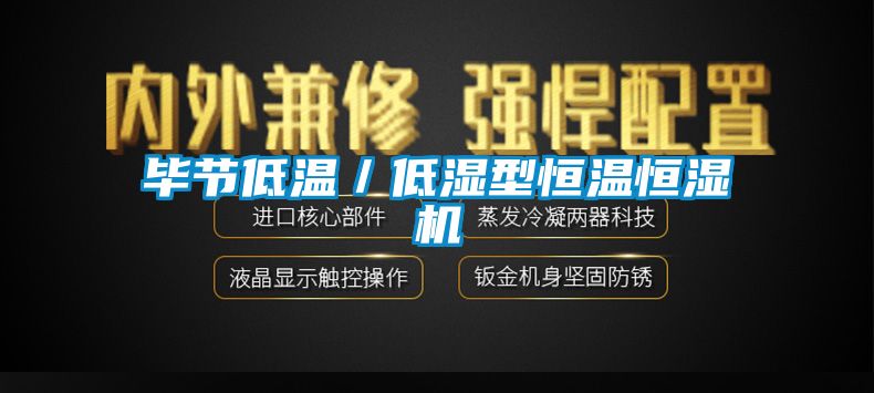 畢節低溫／低濕型恒溫恒濕機