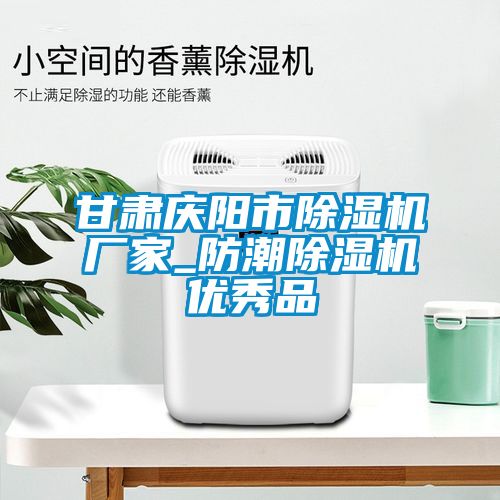 甘肅慶陽市除濕機廠家_防潮除濕機優秀品