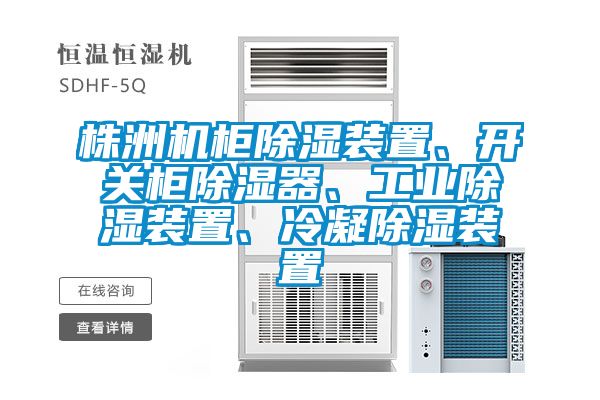 株洲機柜除濕裝置、開關柜除濕器、工業除濕裝置、冷凝除濕裝置