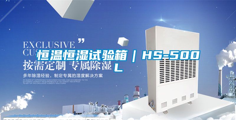 恒溫恒濕試驗箱｜HS-500L
