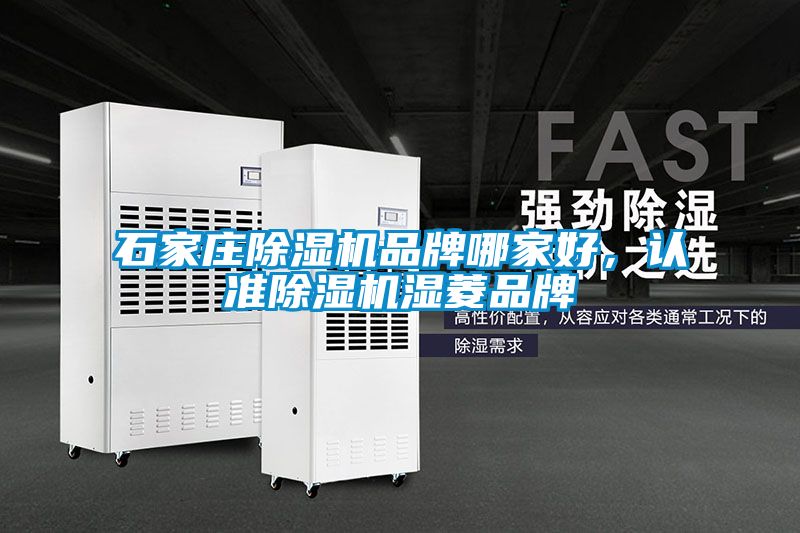 石家莊除濕機(jī)品牌哪家好，認(rèn)準(zhǔn)除濕機(jī)濕菱品牌