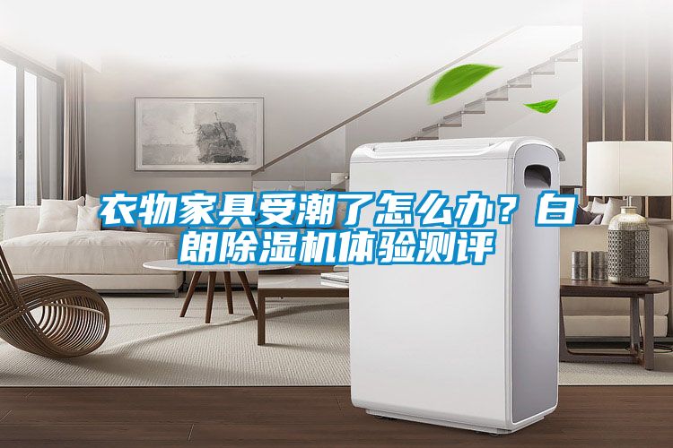 衣物家具受潮了怎么辦？白朗除濕機(jī)體驗(yàn)測評(píng)