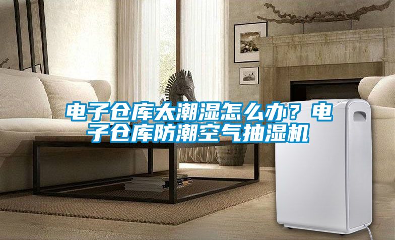 電子倉(cāng)庫(kù)太潮濕怎么辦？電子倉(cāng)庫(kù)防潮空氣抽濕機(jī)