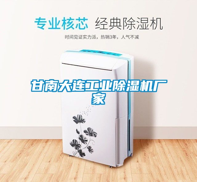 甘南大連工業除濕機廠家