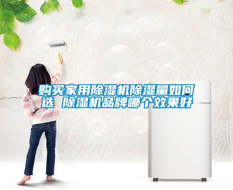 購買家用除濕機除濕量如何選 除濕機品牌哪個效果好