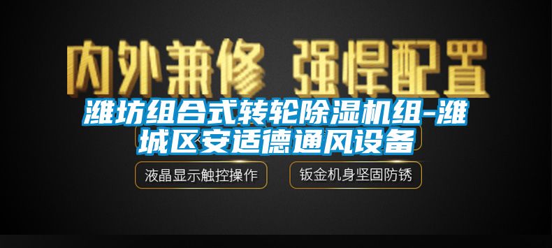 濰坊組合式轉輪除濕機組-濰城區安適德通風設備
