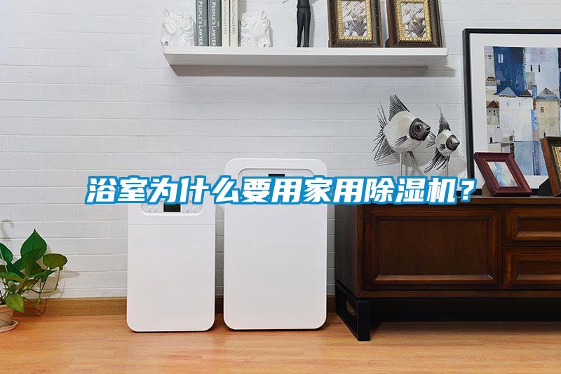 浴室為什么要用家用除濕機？