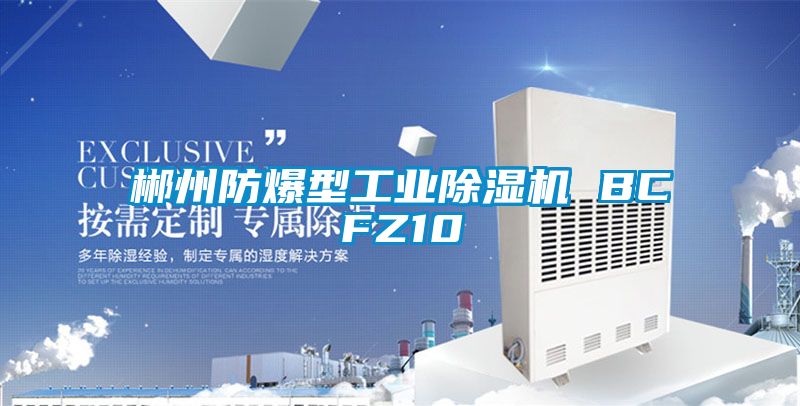 郴州防爆型工業(yè)除濕機 BCFZ10