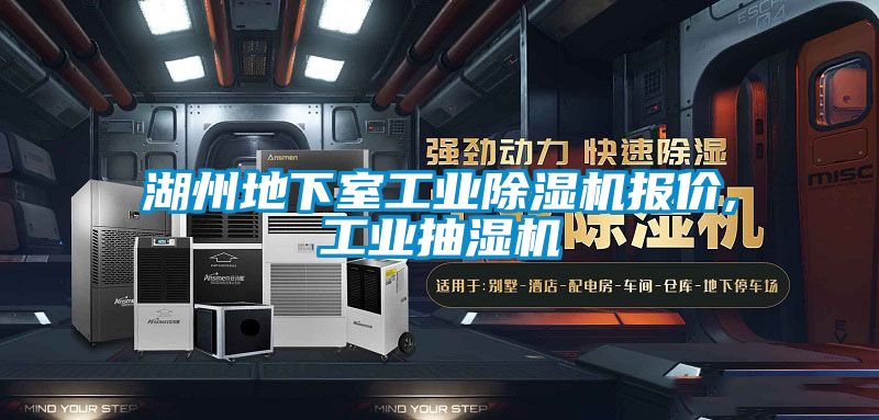 湖州地下室工業(yè)除濕機(jī)報價,工業(yè)抽濕機(jī)