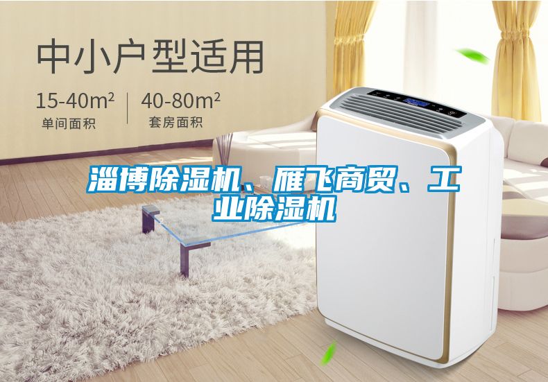 淄博除濕機(jī)、雁飛商貿(mào)、工業(yè)除濕機(jī)