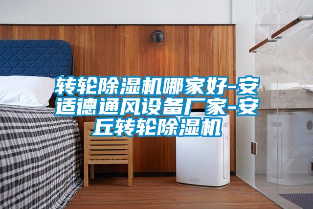 轉輪除濕機哪家好-安適德通風設備廠家-安丘轉輪除濕機