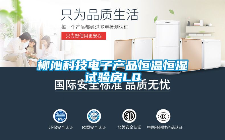柳沁科技電子產品恒溫恒濕試驗房LQ